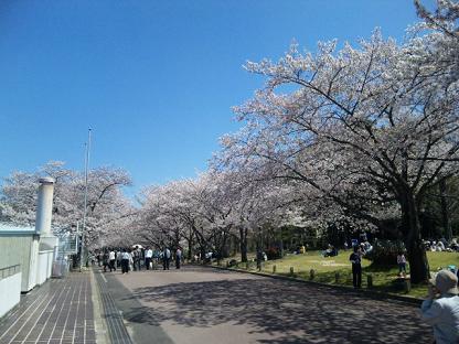 100408_124940.jpg
