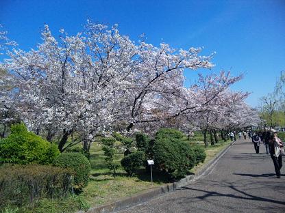 100408_141818.jpg
